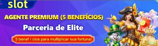 77show Provedores Premium